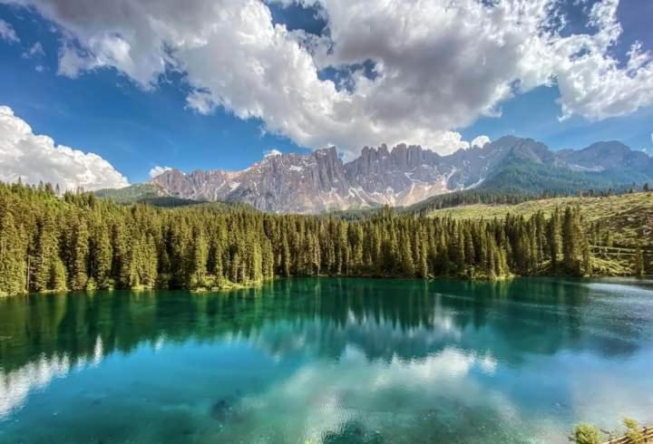 Casa per Ferie Villa Romagna Pozza di Fassa Esterno foto